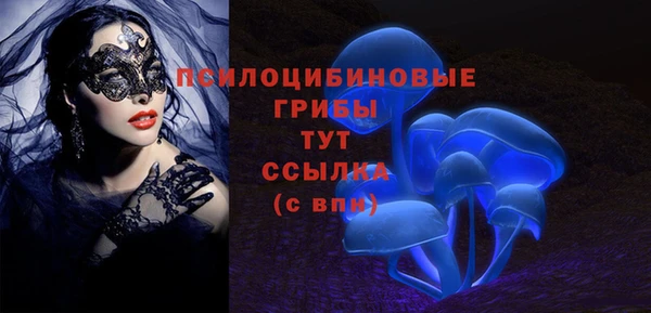 спиды Медвежьегорск