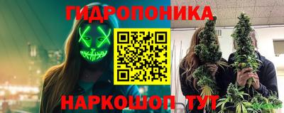 гидра Волгодонск