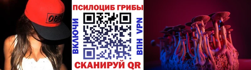 наркотики  Москва  Псилоцибиновые грибы мицелий 
