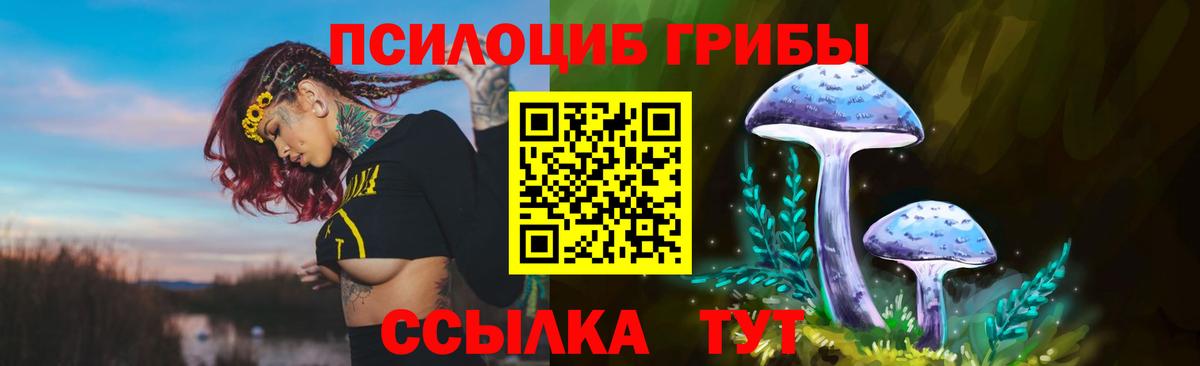 Галлюциногенные грибы Psilocybe Москва